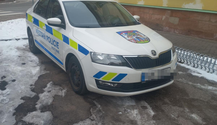 Mladík skočil na auto strážníků. Za způsobené škody může na rok do vězení