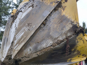 Strakonice nechaly kvůli úpravě vozovky přesadit čtyři pětadvacetileté habry