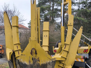 Strakonice nechaly kvůli úpravě vozovky přesadit čtyři pětadvacetileté habry