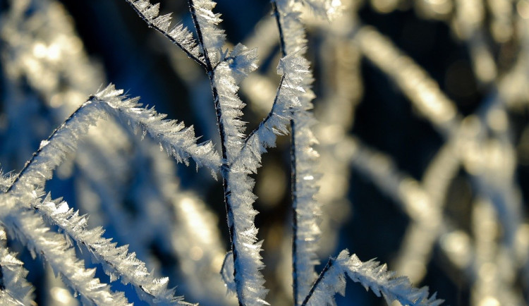 Arktický vzduch přinese do Česka na víkend ochlazení, v noci může mrznout