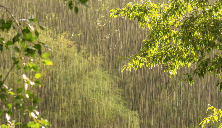 Bez deštníků ani ránu. Tento týden v hradeckém kraji proprší