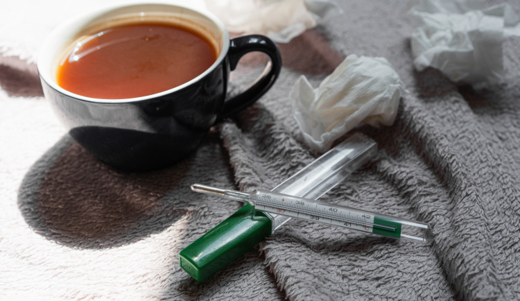 Chřipka je na ústupu, v Olomouckém kraji má však na svědomí už sedm úmrtí