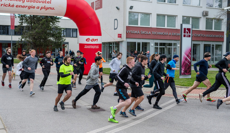 Společně pro dobrou věc: Nadační běh VŠTE podpoří opuštěné psy z útulku Pes pro život