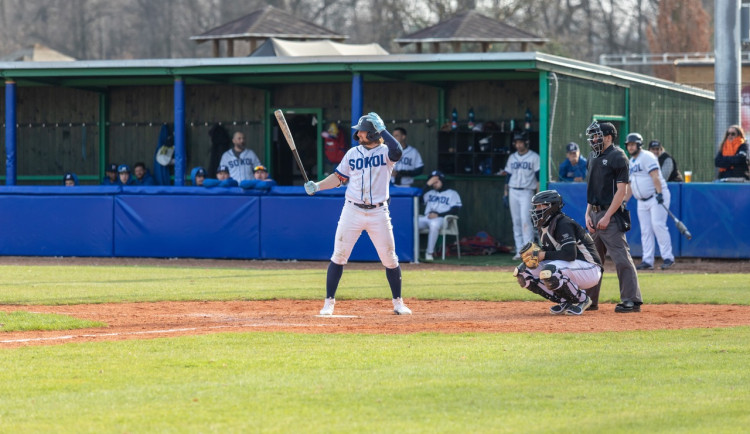 Baseballisté Sokola vyzvou Arrows Ostrava, fanoušky čeká napínavá podívaná i exkluzivní výhody