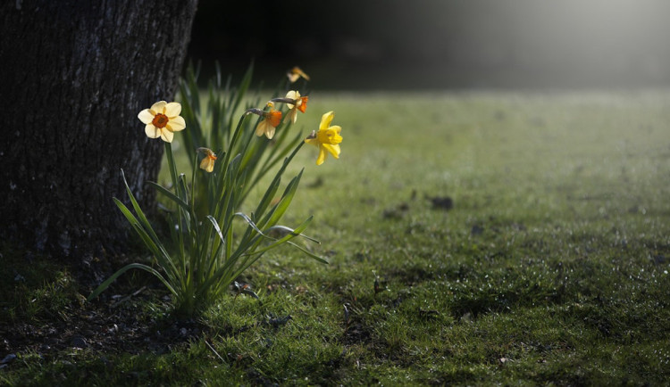 V Libereckém kraji nás čeká nejteplejší týden roku. Teploty se mohou dostat až ke 24 stupňům