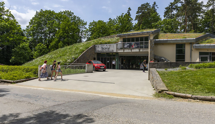 Speciální program i nápor návštěvníků. Velikonoce v Zoo Olomouc lákají tisíce lidí