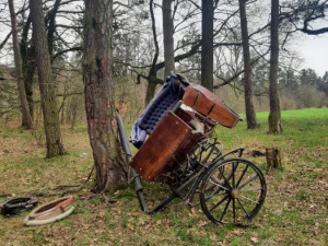 U Třebotovic havaroval koňský povoz, zranili se čtyři lidé. Koně z nehody vyvázli bez újmy