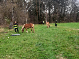 U Třebotovic havaroval koňský povoz, zranili se čtyři lidé. Koně z nehody vyvázli bez újmy
