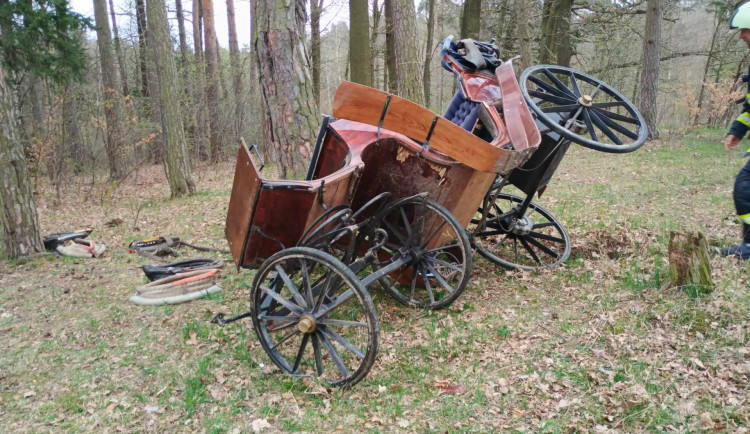 U Třebotovic havaroval koňský povoz, zranili se čtyři lidé. Koně z nehody vyvázli bez újmy