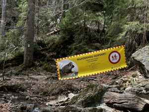 Takto je označena uzavřená cesta vedoucí na příhraniční horu Falkenstein