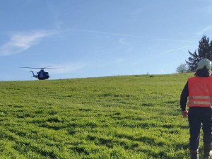 Kvůli požáru lesní hrabanky na Táborsku vyhlásili hasiči třetí stupeň požárního poplachu