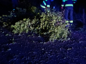 Popadané stromy a poničené střechy, hasiči sčítají škody po bouřce
