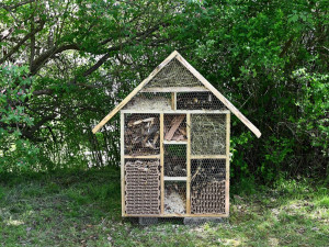 Žáci čtyř středních píseckých škol vybudovali vlastní studentský park