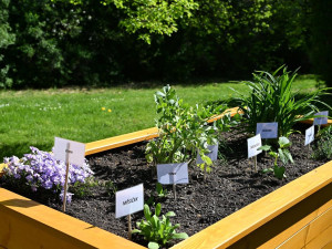 Žáci čtyř středních píseckých škol vybudovali vlastní studentský park