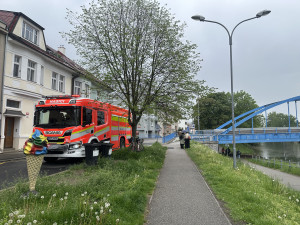 Mastná skvrna a mrtvé ryby. Hasiči monitorují podezřelé znečištění Malše