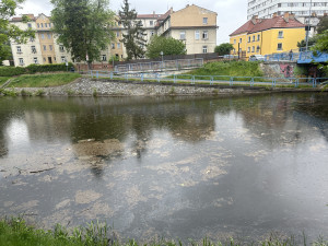 Mastná skvrna a mrtvé ryby. Hasiči monitorují podezřelé znečištění Malše