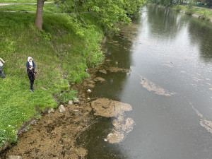 Mastná skvrna a mrtvé ryby. Hasiči monitorují podezřelé znečištění Malše