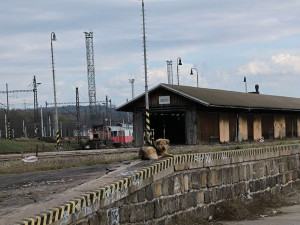 Rumunská fenka se prokousala z kotce a je opět na útěku