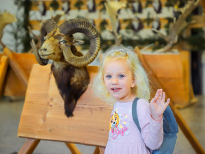 Atraktivní program pro celou rodinu, to je výstava Hobby