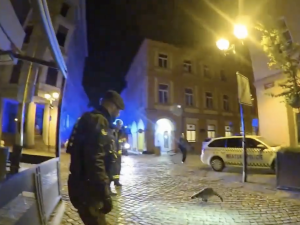 Mýval v centru Budějovic překvapil strážníky i hasiče. Skočil na auto a utekl do tmy
