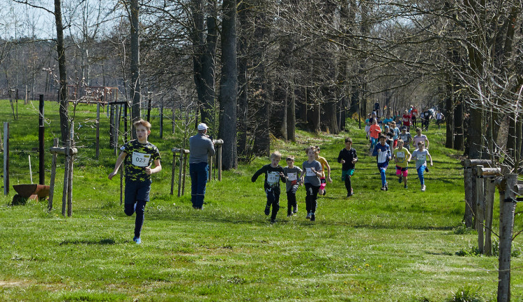 Safari RUN nabídne běh mezi zvířaty i vystoupení známých umělců