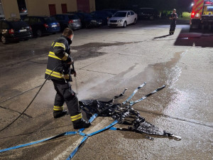 V Sudoměřicích u Bechyně spadl kůň do jezírka, vyprostit ho museli hasiči