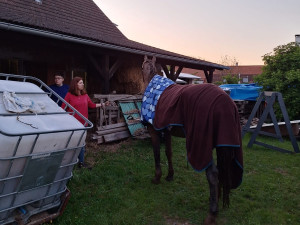 V Sudoměřicích u Bechyně spadl kůň do jezírka, vyprostit ho museli hasiči