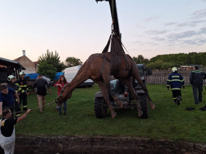 V Sudoměřicích u Bechyně spadl kůň do jezírka, vyprostit ho museli hasiči