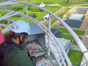 V Temelíně se vylíhla čtyři mláďata kriticky ohroženého sokola stěhovavého