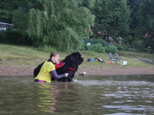 Vodní záchranáři slaví úspěch. Získali jako první v Česku akreditaci na výcvik záchranných psů
