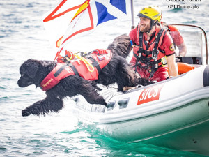 Vodní záchranáři slaví úspěch. Získali jako první v Česku akreditaci na výcvik záchranných psů