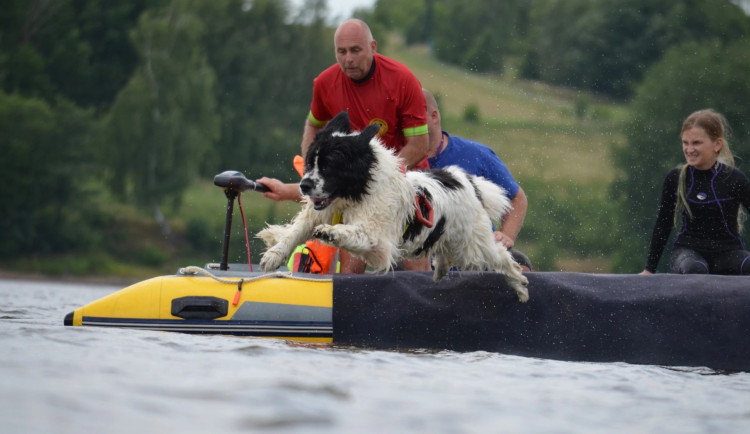 Vodní záchranáři slaví úspěch. Získali jako první v Česku akreditaci na výcvik záchranných psů