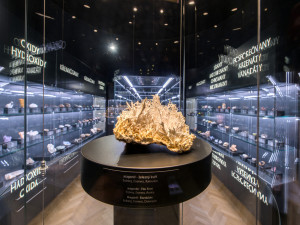 Zažijte kouzlo Muzejní noci v Jihočeském muzeu