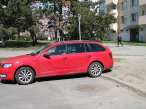 Policie hledá svědky loupežného přepadení na Českobudějovicku