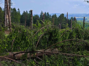 U Českého Krumlova se objevilo tornádo. Znělo to jako jedoucí kolona bagrů, popisují svědci