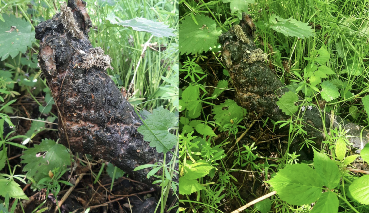 Našel jsem část lidského těla, ohlásil svědek na linku 158. Záhadu rozluštila až policie