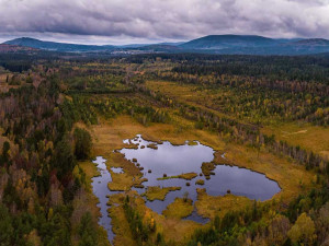 Šumava vysychá. Půda praská a Teplá Vltava zůstává bez lodí