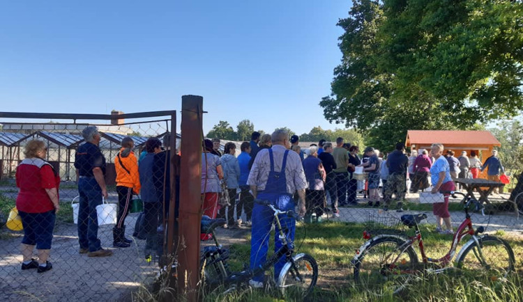 Populární samosběr jahod ve Vodňanech startuje v sobotu 7. června. Přijďte si natrhat čerstvé plody
