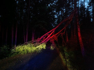 Hasiči řešili kvůli bouřkám hlavně popadané stromy