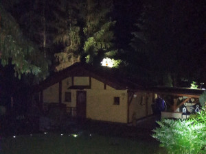 Hasiči řešili kvůli bouřkám hlavně popadané stromy