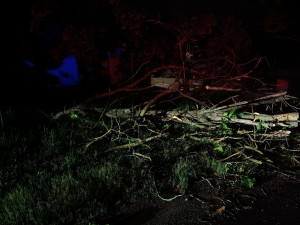 Hasiči řešili kvůli bouřkám hlavně popadané stromy