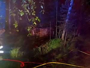 Auto vylétlo ze silnice a skončilo v bažině. Vyprošťování komplikoval přelomený strom