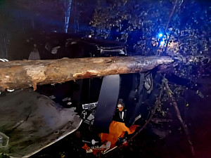 Auto vylétlo ze silnice a skončilo v bažině. Vyprošťování komplikoval přelomený strom