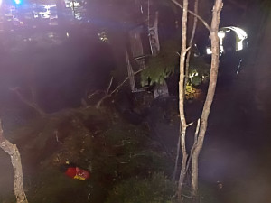 Auto vylétlo ze silnice a skončilo v bažině. Vyprošťování komplikoval přelomený strom