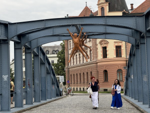 Zdeněk Manina - Řetěz