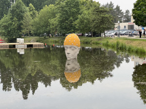 Michal Trpák - Splývání