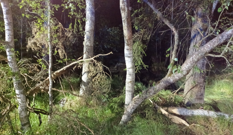 Auto vylétlo ze silnice a skončilo v bažině. Vyprošťování komplikoval přelomený strom