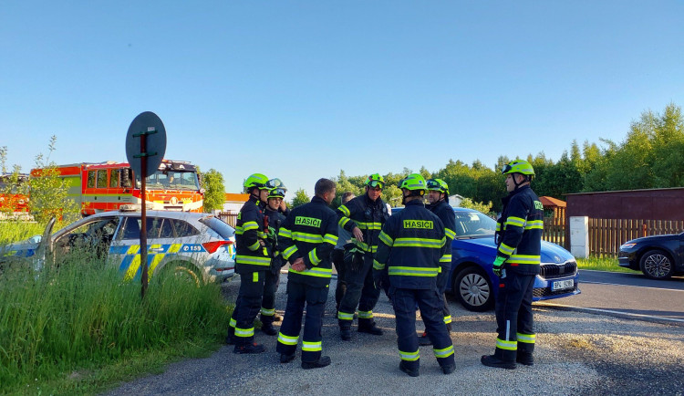 Na Sokolovsku uprchla puma, policie asistuje při jejím odchytu