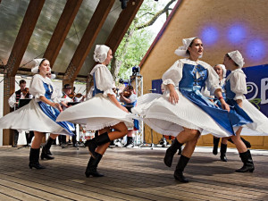 Borůvkobraní v Borovanech – to je festival chutí, hudby a zábavy