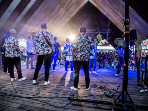 Borůvkobraní v Borovanech – to je festival chutí, hudby a zábavy